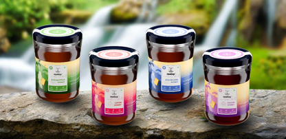 Rootsy Raw Honey Taster Set (4 x 125g)